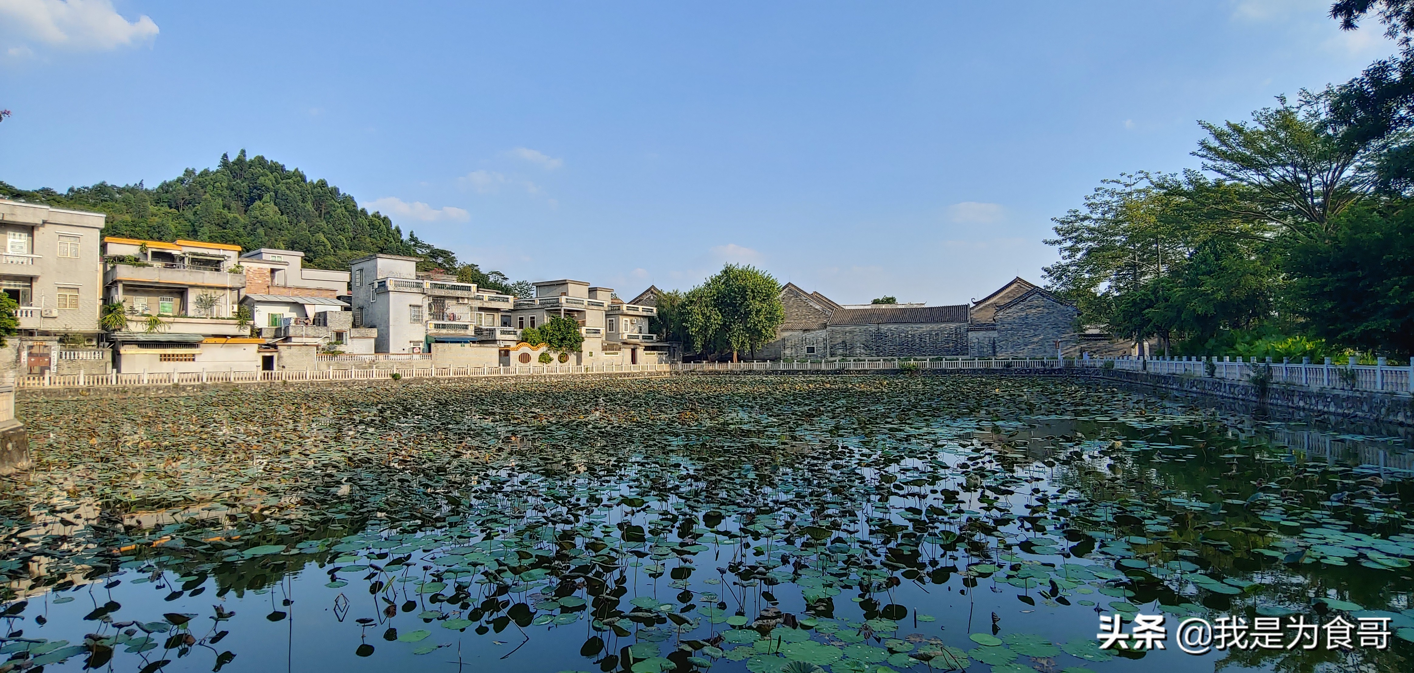 沙湾古镇值不值得去,沙湾古镇好不好