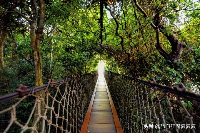 在三亚感受亚龙湾的惬意,三亚亚龙湾热带雨林美景