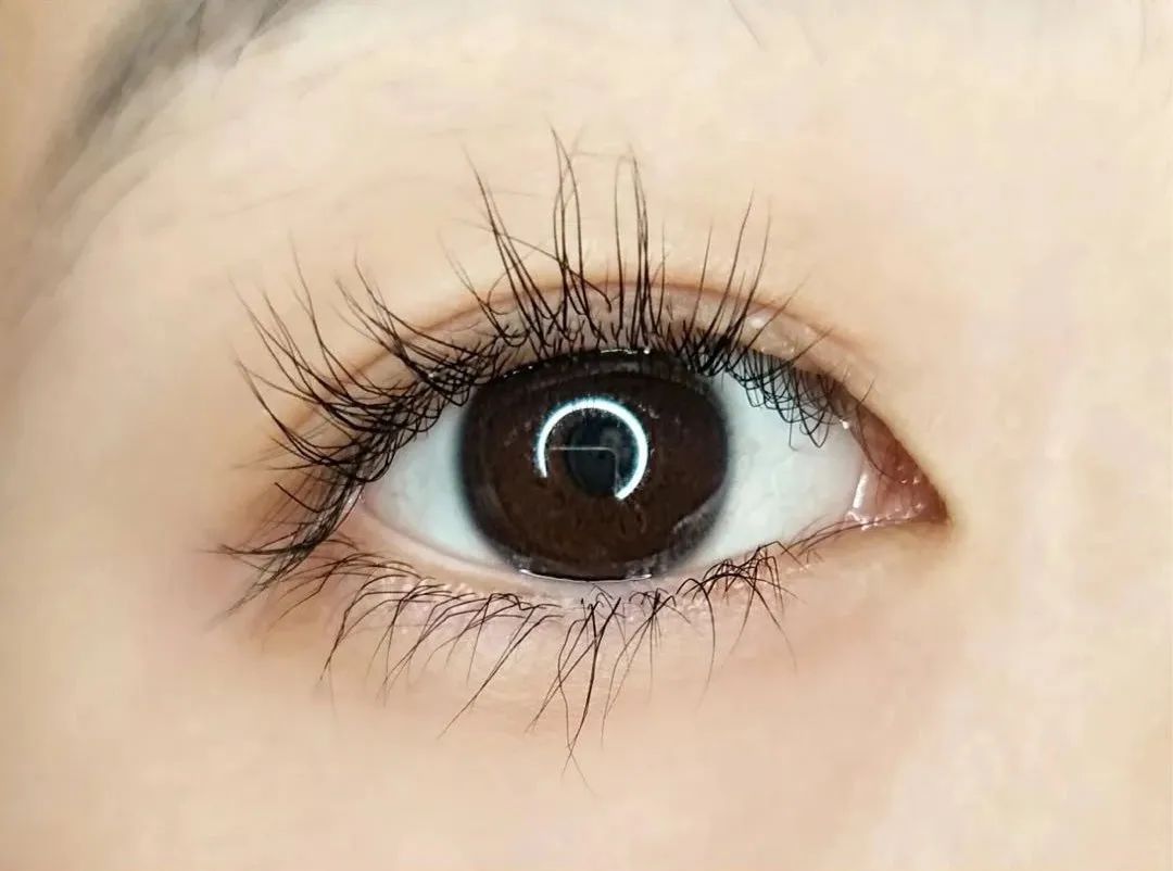 9块9种草,9.99元30包种草