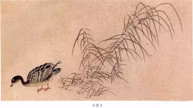 苏百钧工笔国画教学视频,苏百钧花鸟白描画稿