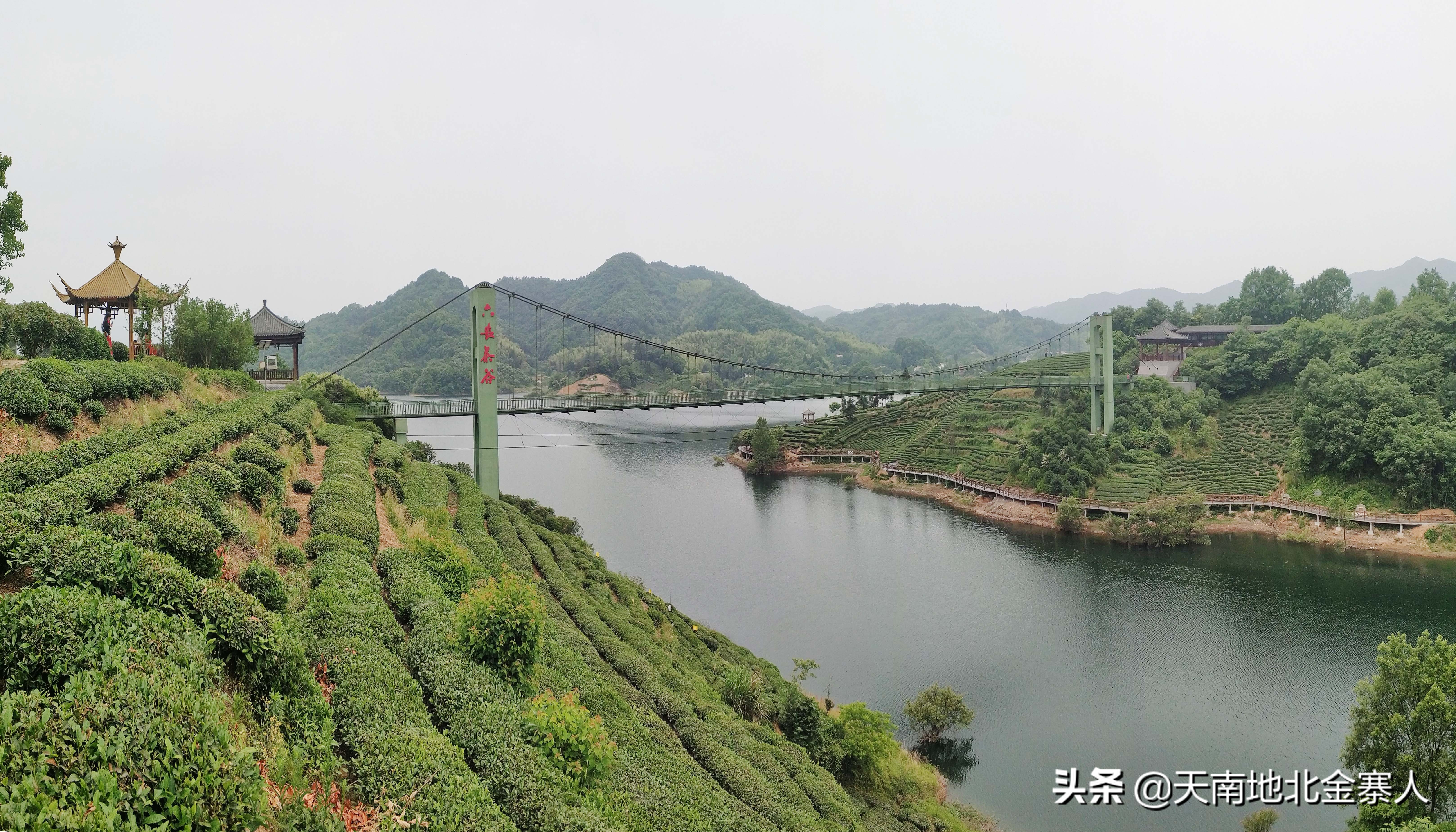 你好我叫王思聪微博截图,你好我叫阿杰