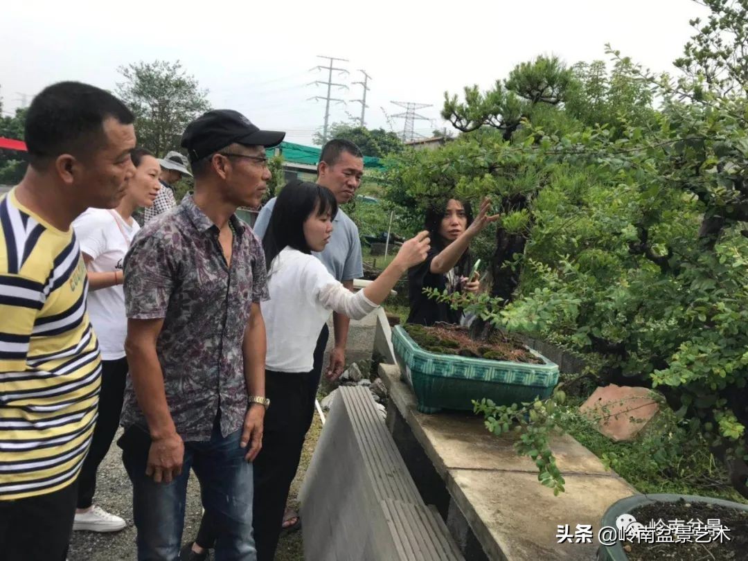 绿色金融业务发展好的银行,绿色银行的前景