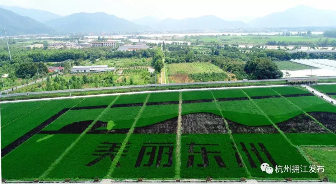 震动！钱塘江畔出现巨型画作，有28个足球场这么大！