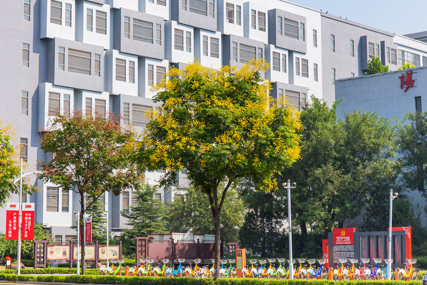 山东青州旅游攻略大全,山东青州旅游攻略夏天景点