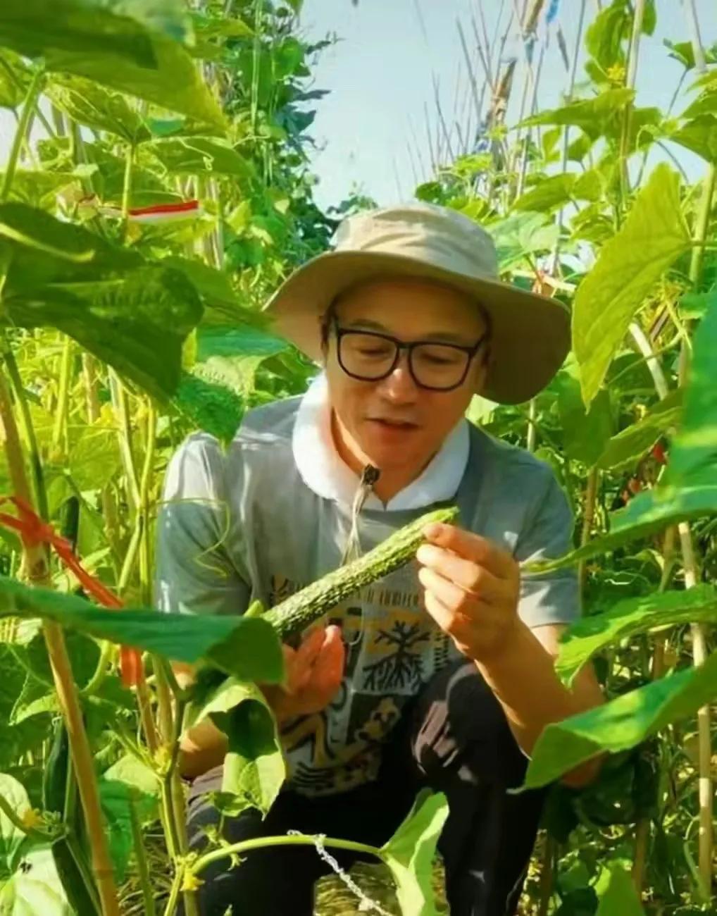 香港黄日华王杰县城捞金，央视郎永淳卖货：赚钱养家就是最大体面