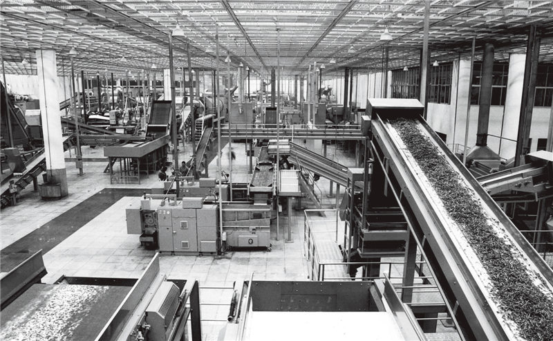 褚时健哪一年离世,褚时健去世了吗