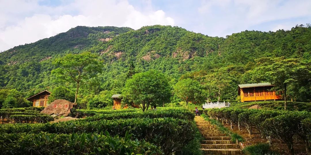 贺州姑婆山景区国家森林公园,贺州姑婆山森林公园路线