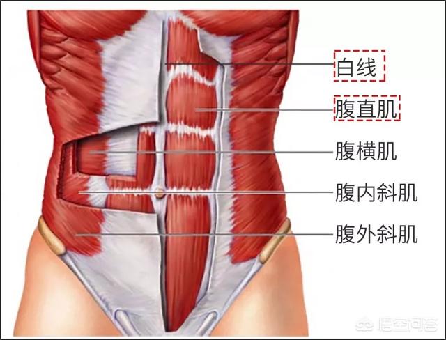 馨悦佳人盆底修复,馨悦佳人产后修复价格