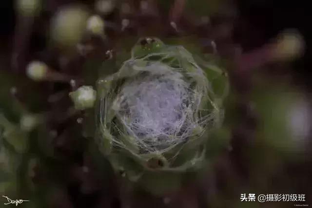 胎儿后期发育慢是什么原因,怀孕后期羊水少是什么原因