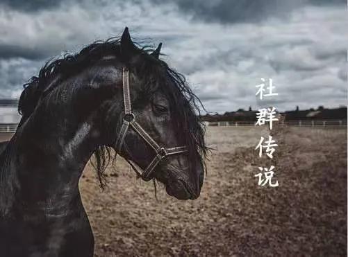 社群运营专家岗位,社群运营的岗位认知和思考