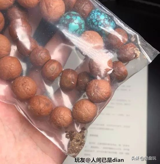 放了2年的凤眼，翻出来，虫子能组一个篮球队了