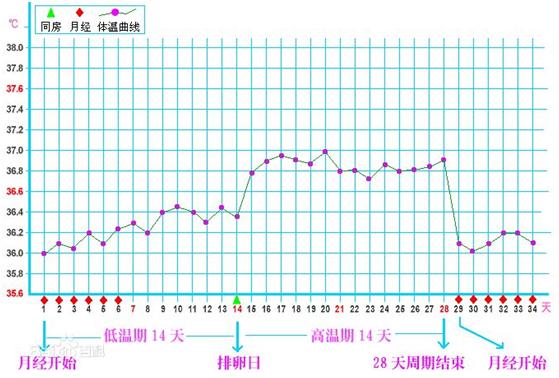 测排卵期的正确方法,测排卵期避孕靠谱吗
