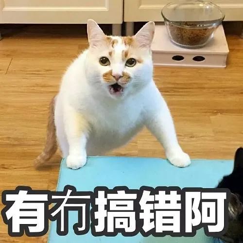 铲屎官请自重图,铲屎官请自重