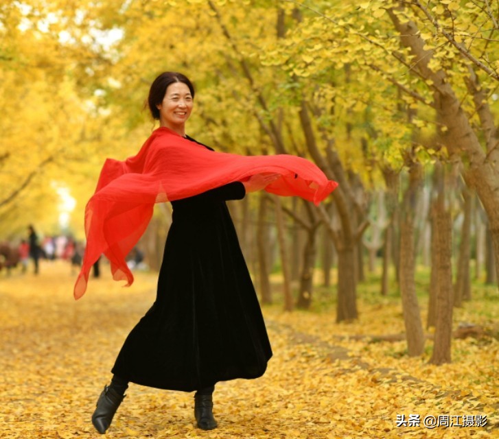 卖不掉的银杏树苗，如今成了乡村旅游热门