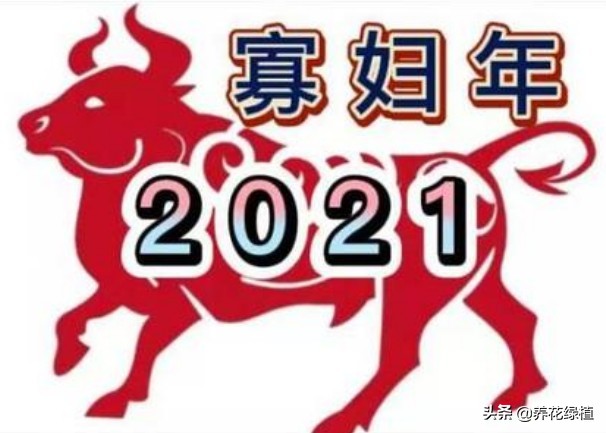 2021年是寡年，俗话：“寡年不见春，地收人不收”，什么意思