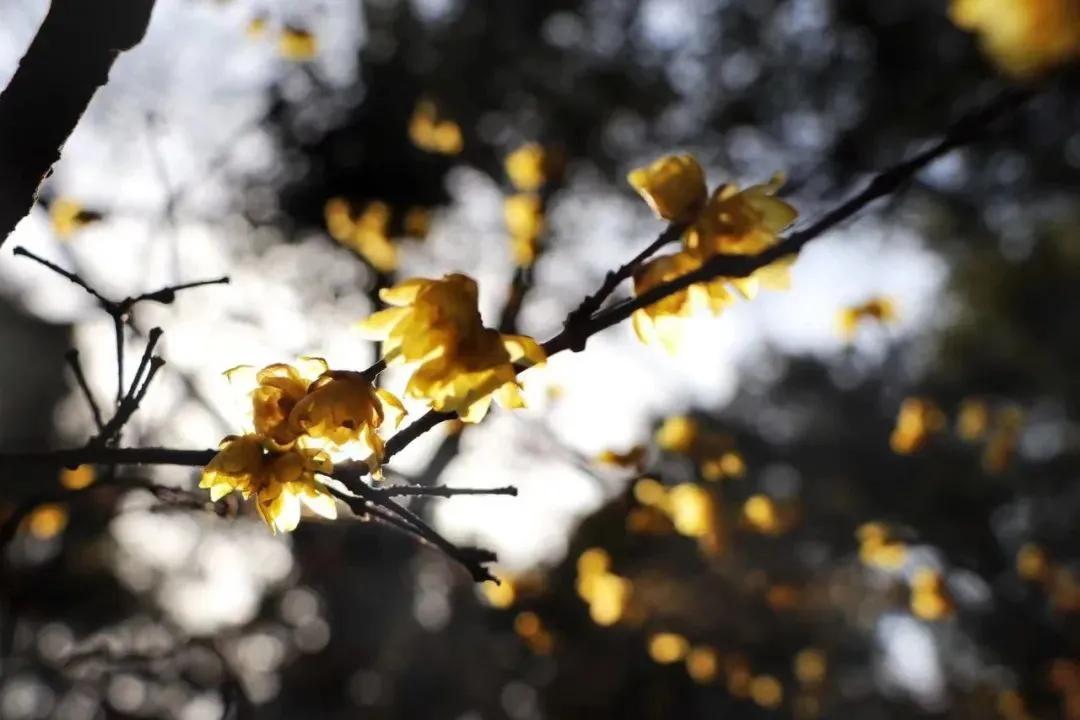 每周摄影作品全集,摄影作品展活动4k视频