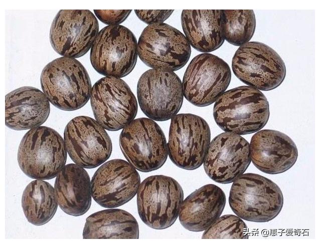 文玩剧毒有哪些,四种文玩有毒