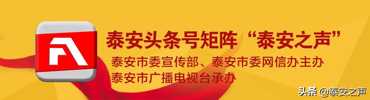 泰安肥城市疫情防控工作,泰安肥城疫情防控工作