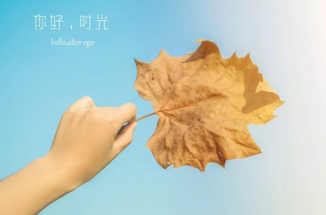 弄花香满衣的唯美短句,掬水月在手弄花香满衣全诗赏析