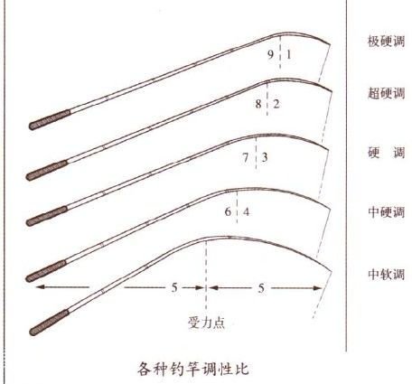 钓鱼用的鱼竿怎么选择好用点,钓鱼竿选择什么样的鱼竿好
