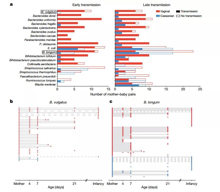Nature发表迄今最大范围研究发现，剖宫产会影响新生儿期的肠道菌群构成，但会真的影响长期健康吗？