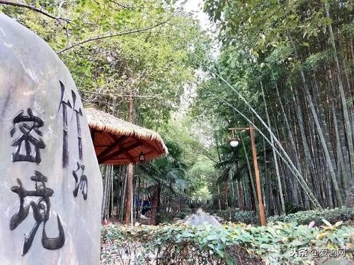 中国最具魅力的、最浪漫的温泉度假村：湖北洪湖悦兮半岛温泉！