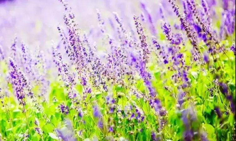 这里是安徽,这里是淮南