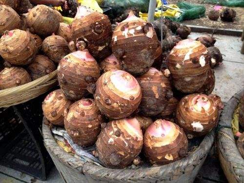 宁波奉化蒋氏故居溪口镇,奉化溪口蒋氏故里附近的农家乐