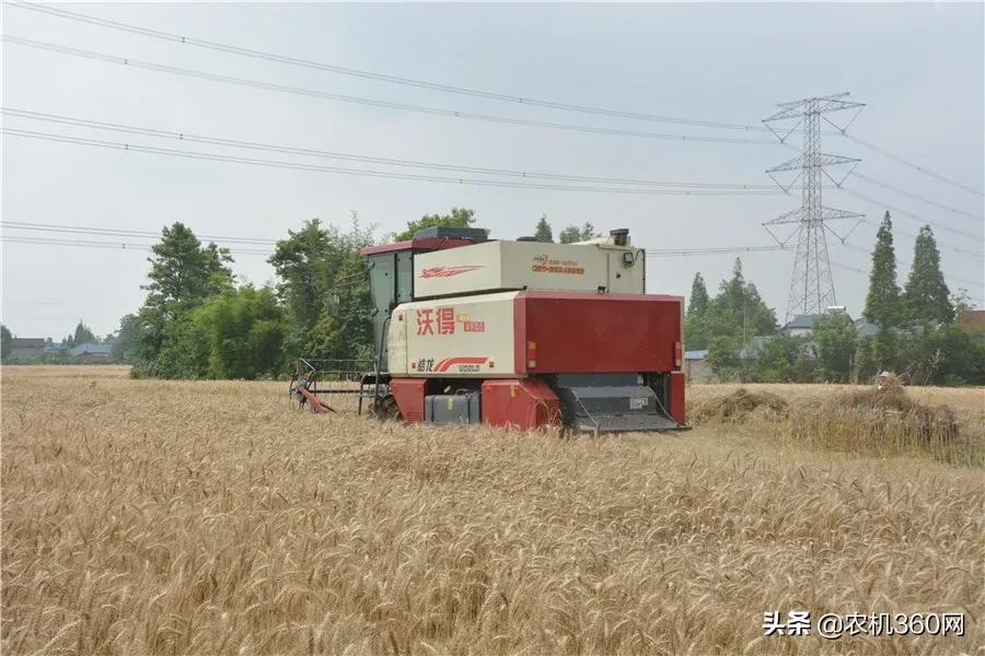 麦客首选，一机多用！沃得皓龙轮式纵轴流4LZ-8F型收获机闪耀上市