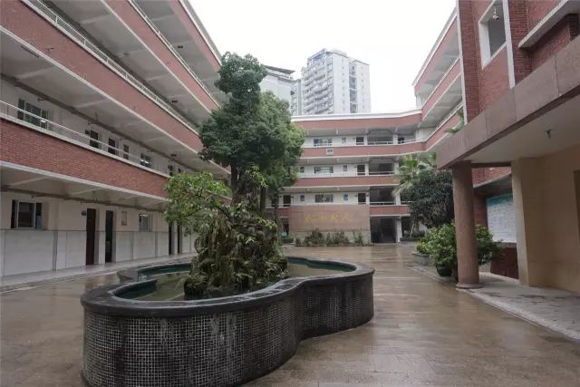 重庆渝北区松树桥中学简介,重庆松树桥中学2021