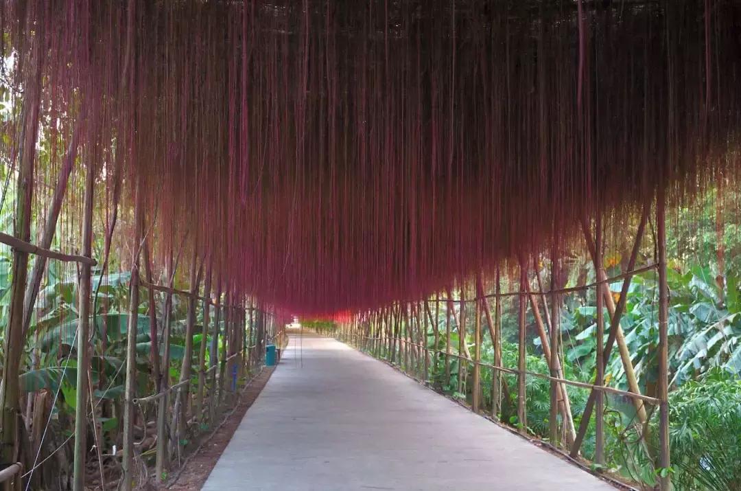 广州南沙区飞速发展,即将崛起的广州南沙区