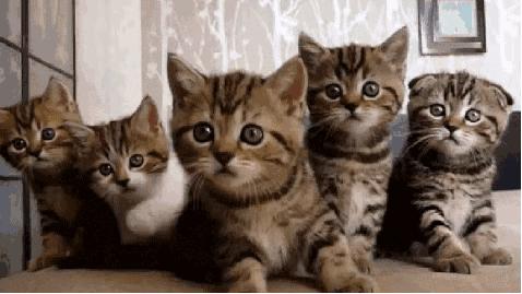 *草烟**微语丨昨夜今晨*草烟**事04.092021