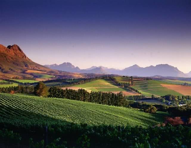 82年拉菲为什么现在还买不完，还越来越多？