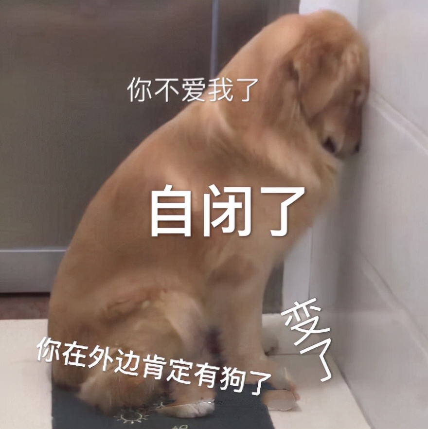 对coach的看法,对coach的建议