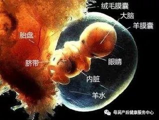 突然漏尿湿一片是怎么回事,早上湿了一小片是漏尿还是破水
