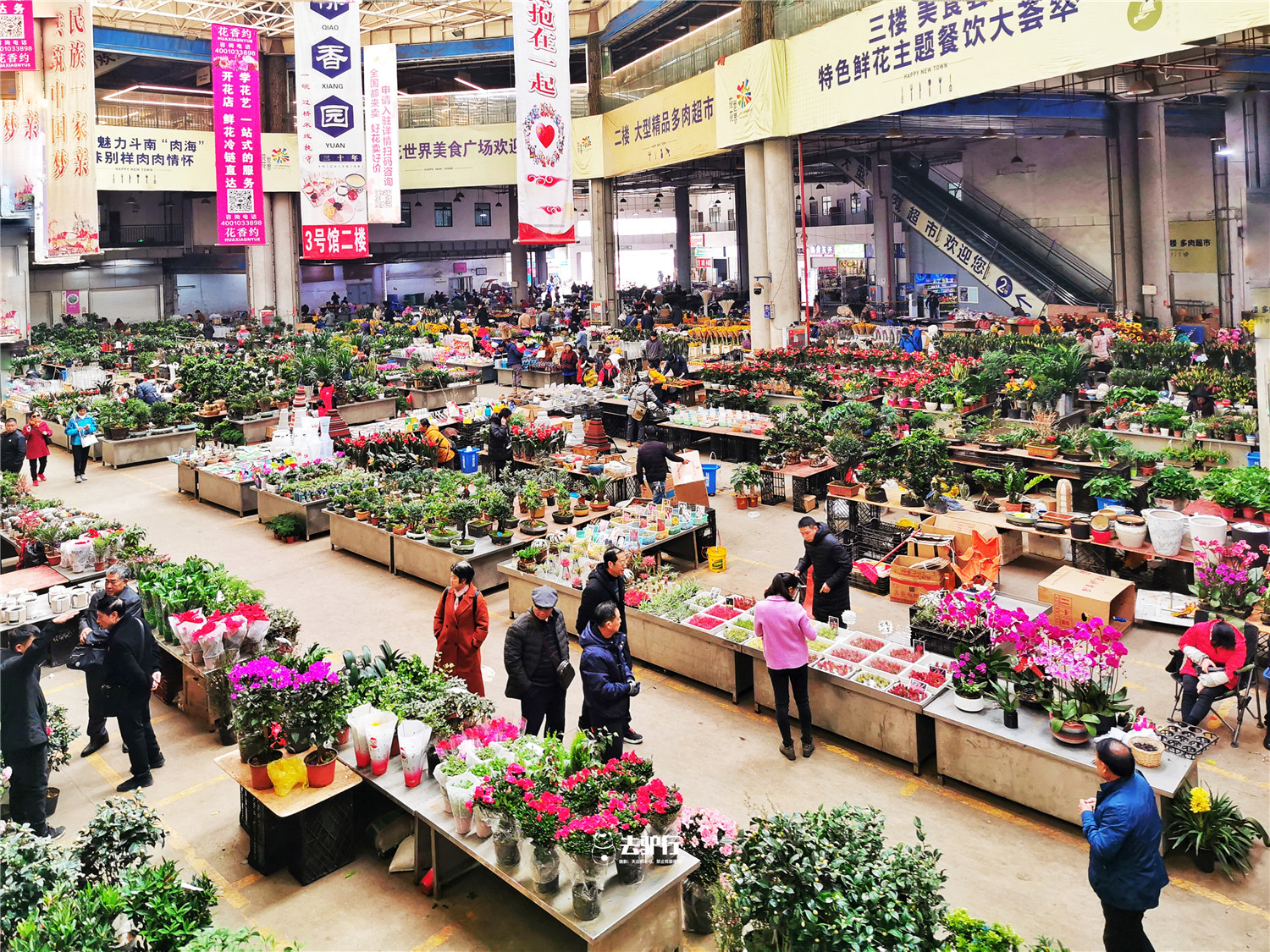 中国最大的鲜花批发市场在哪里啊,中国最大的鲜花市场