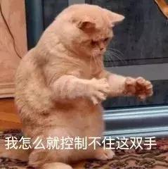 双11光棍节脱单绝招,双十一败家娘怎么管理