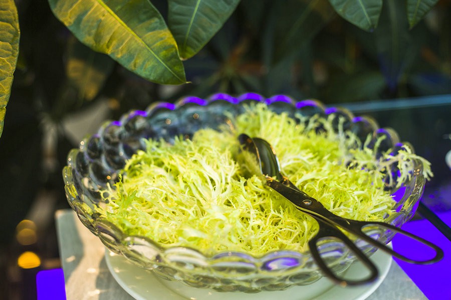 三亚银泰阳光度假酒店附近美食,三亚美食攻略大东海