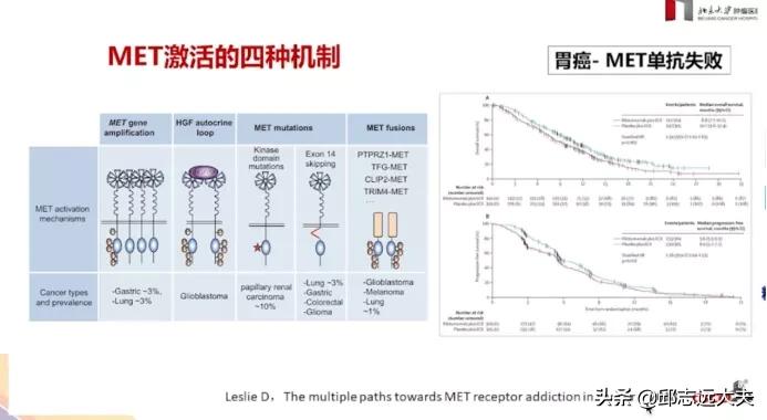张小田教授：Her-2阴性胃癌分子靶向治疗的新进展