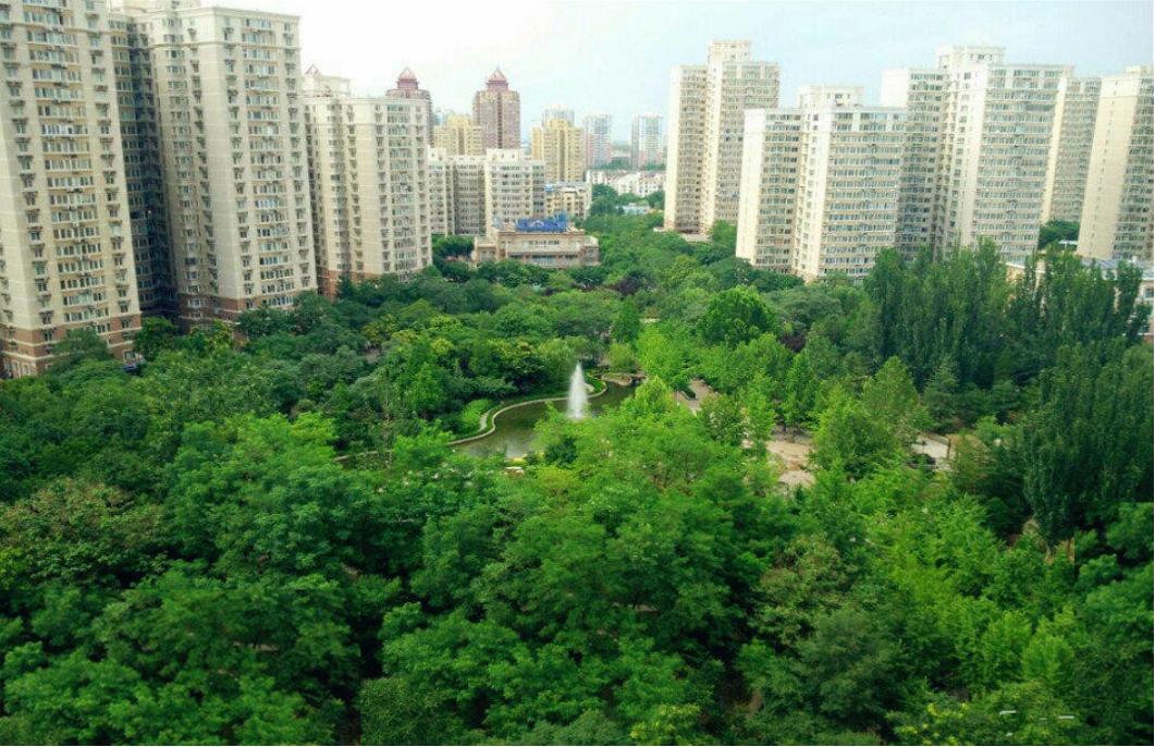 望京的房子值得买吗,望京西园三区房价走势图