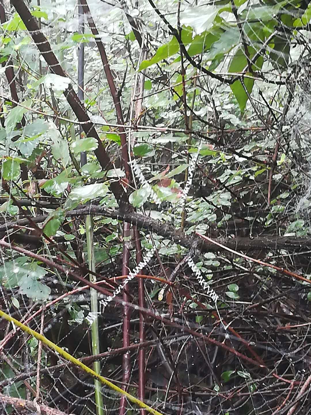 武当山高铁站旅游攻略,坐火车去武当山旅游攻略