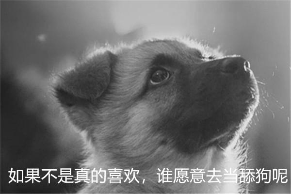 *牙虎**天秀杯：包子大战深海鱼迎来劫局，缘分已烬，完美谢幕