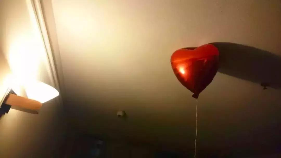 六年旅行者,国六旅行者