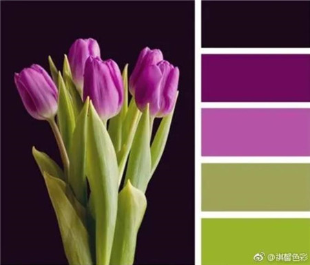 怎么辨别双胞胎的颜色,如何分辨真假蓝玛瑙