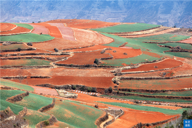 云南红土地共有几个景点,最美云南之东川红土地