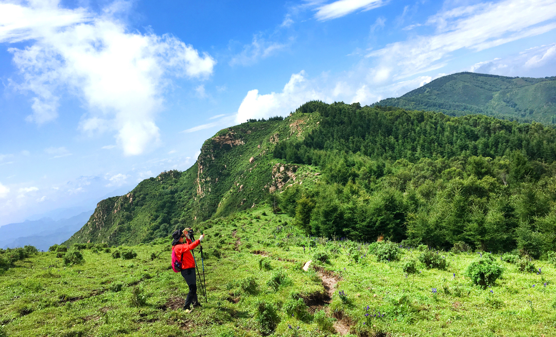 国内最美草原旅游攻略,驼梁旅游全攻略