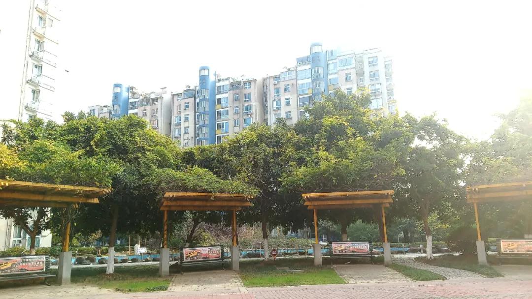 育红周边学区房,育红小区学区房多少钱