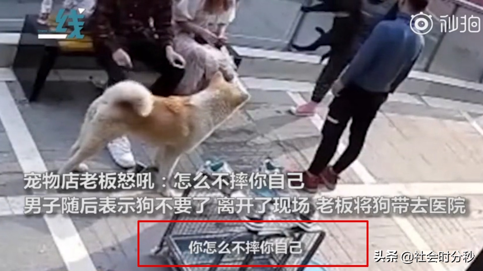 男子暴怒抱起小狗摔下地,男子与女子争吵当街摔死小狗