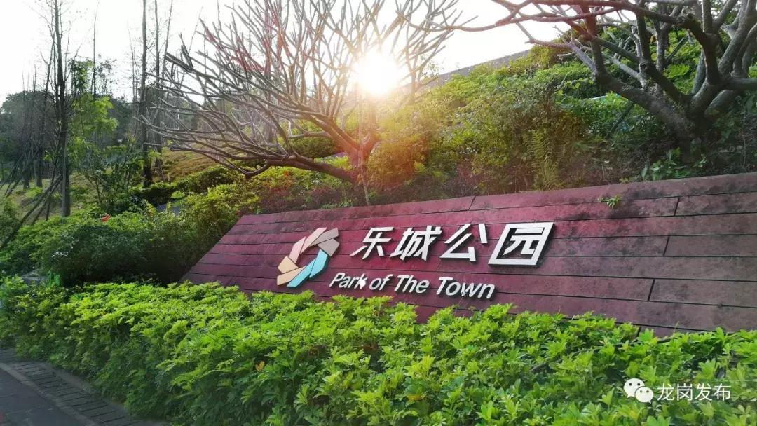 春天该很好，倘若你在场！龙岗最“花心”的地方是……