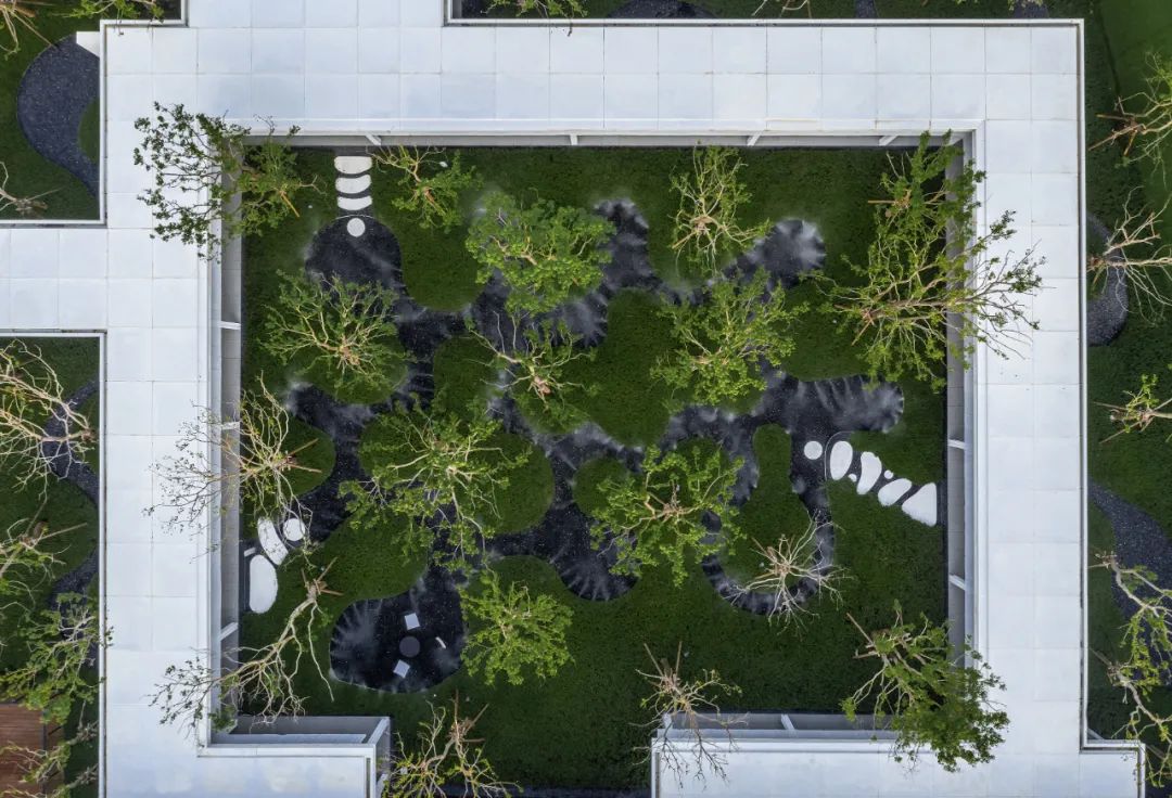 lsd艺术风格,lsd完整形式